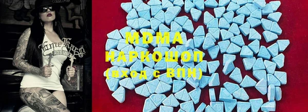прущие грибы Абаза
