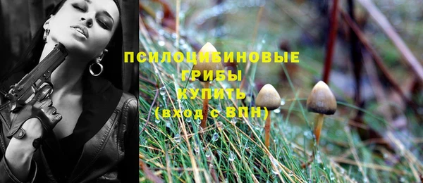 прущие грибы Абаза