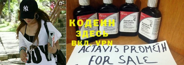 прущие грибы Абаза