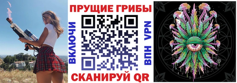 Псилоцибиновые грибы мицелий  Шимановск 